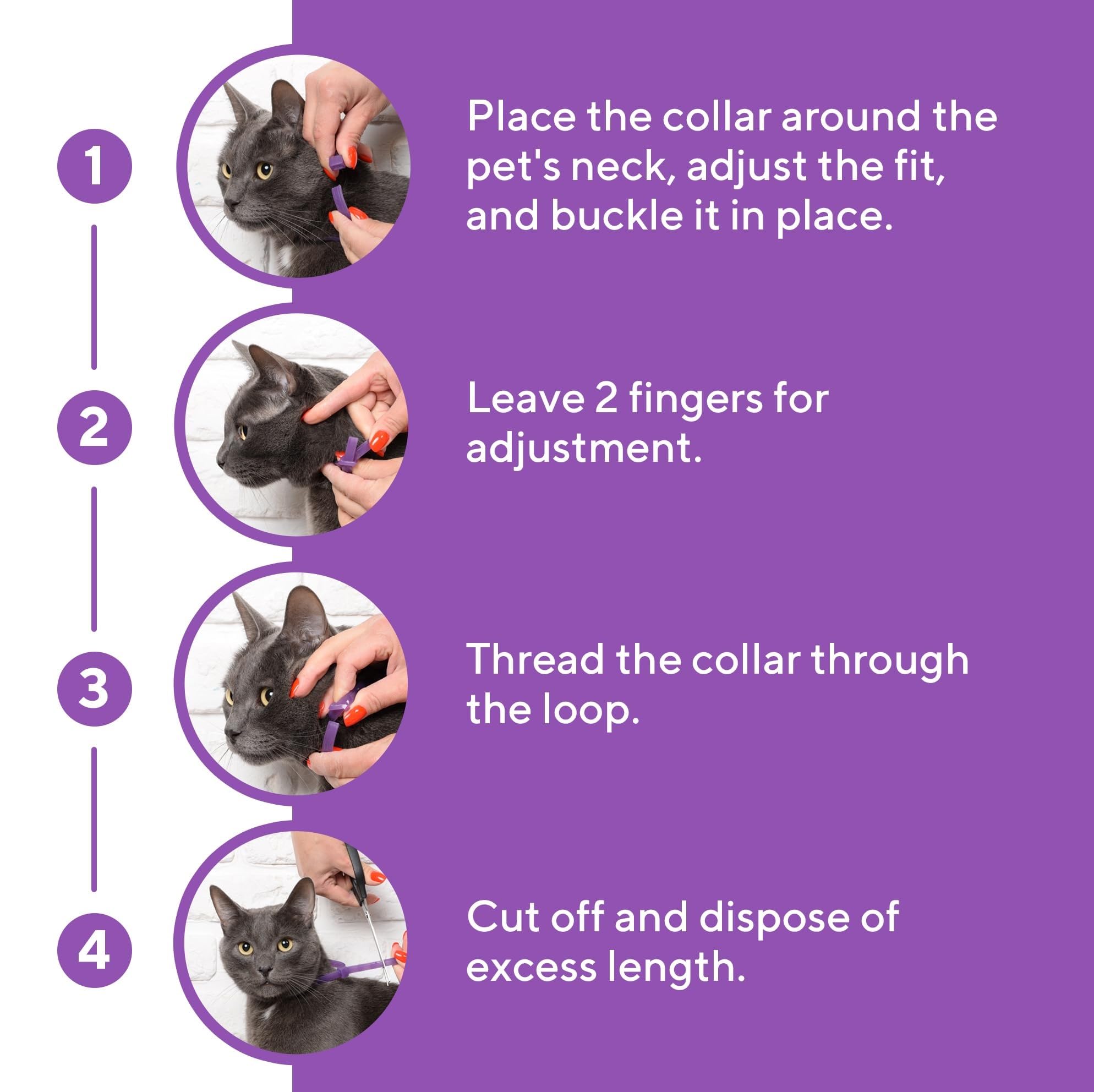 Kit difusor y repuesto para collar calmante Beloved Pets