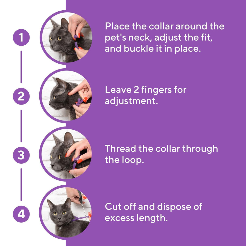 Kit difusor y repuesto para collar calmante Beloved Pets