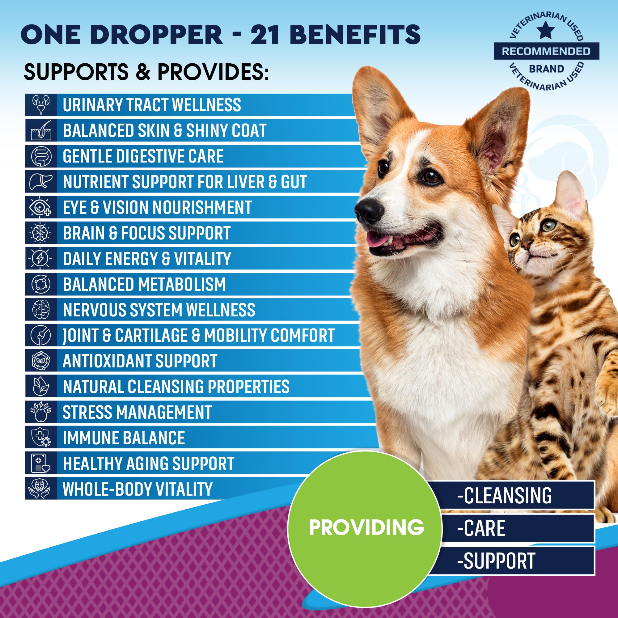 Beloved Pets multivitamínico líquido, gotero, administración fácil en casa