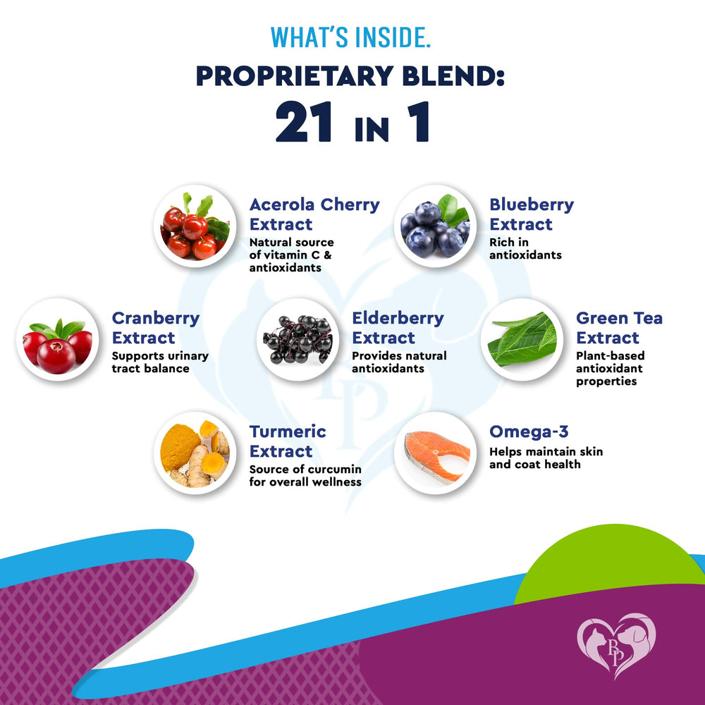 Beloved Pets multivitamínico líquido, piel y pelaje, apoyo potencial para brillo y salud