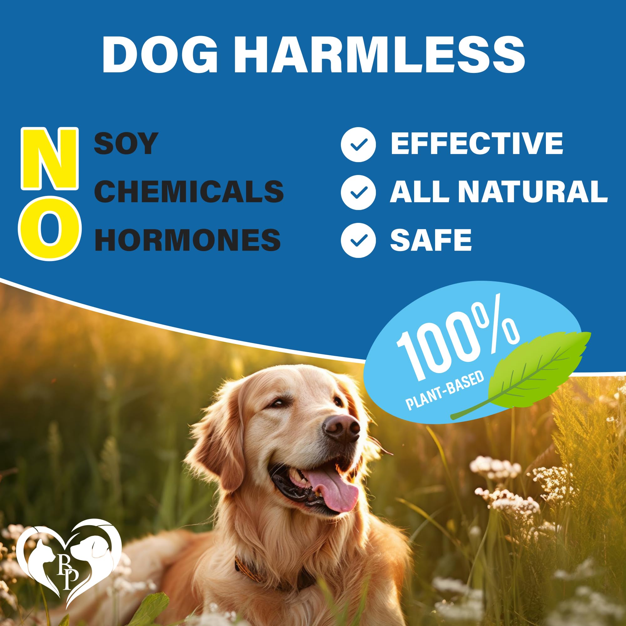 Ingredientes naturales Beloved Pets, ingredientes clave para cuidado suave.
