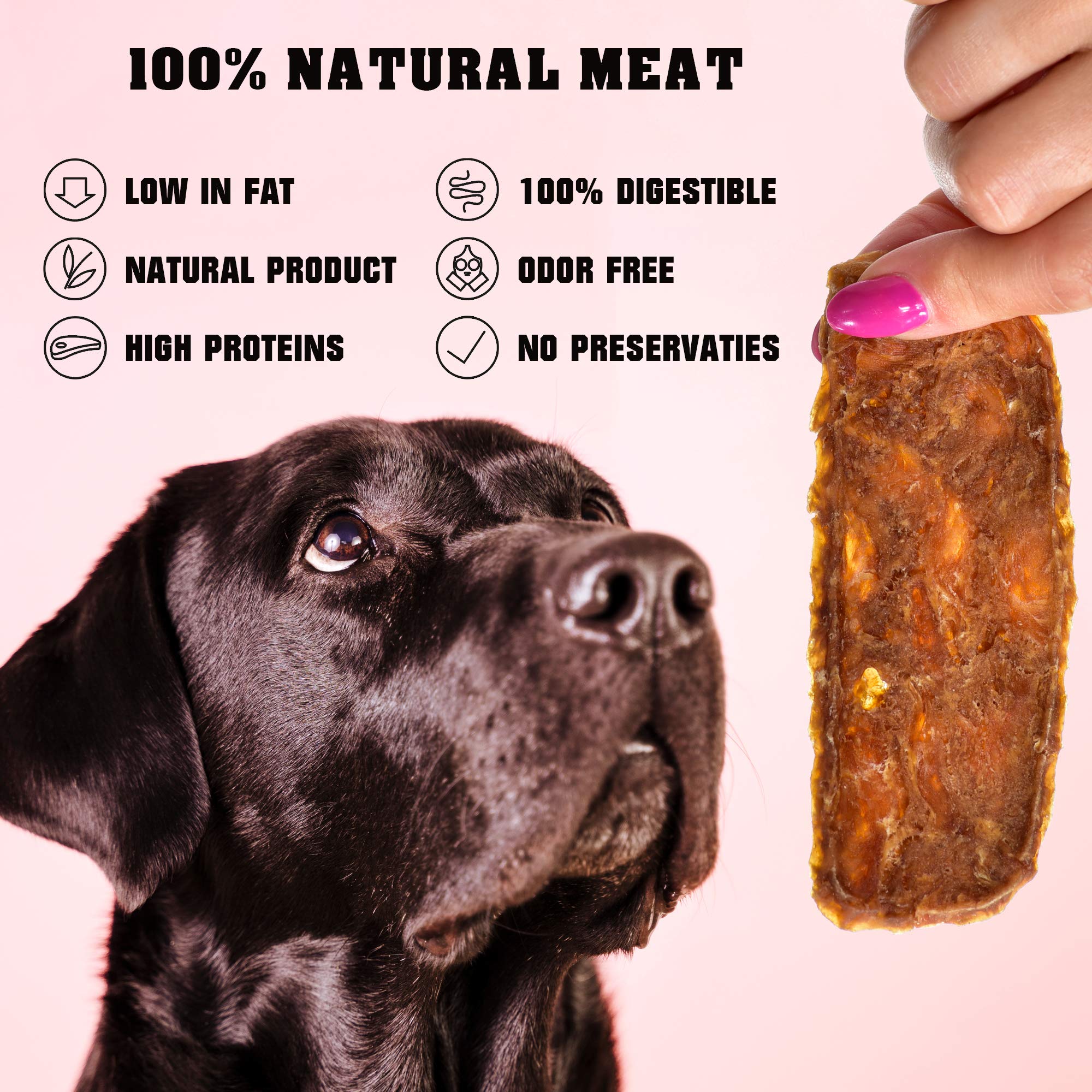 Beloved Pets perro comiendo tiras jerky retrato realista y sabroso