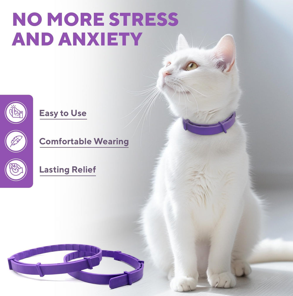 Primer efecto en una semana con collar calmante Beloved Pets