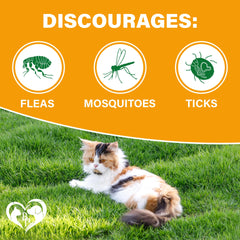 Beloved Pets masticables sabor tocino para gatos