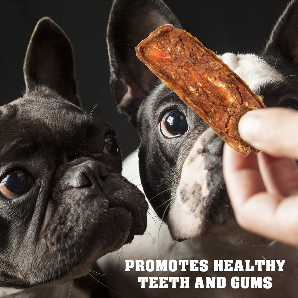 Beloved Pets snack de entrenamiento para perros durante la práctica