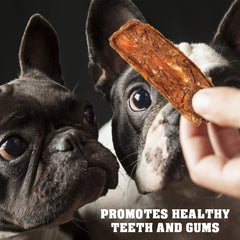 Beloved Pets snack de entrenamiento para perros durante la práctica
