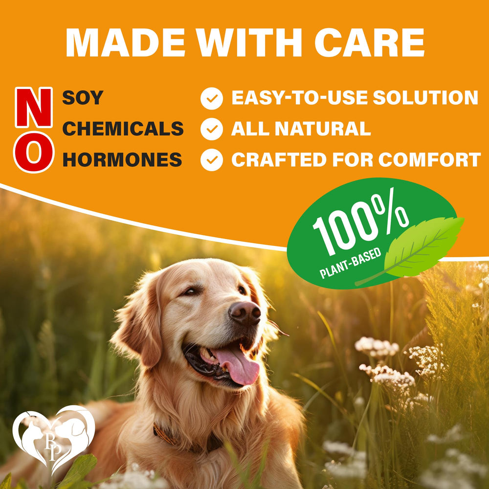 Beloved Pets soporte articular y energía para perros activos