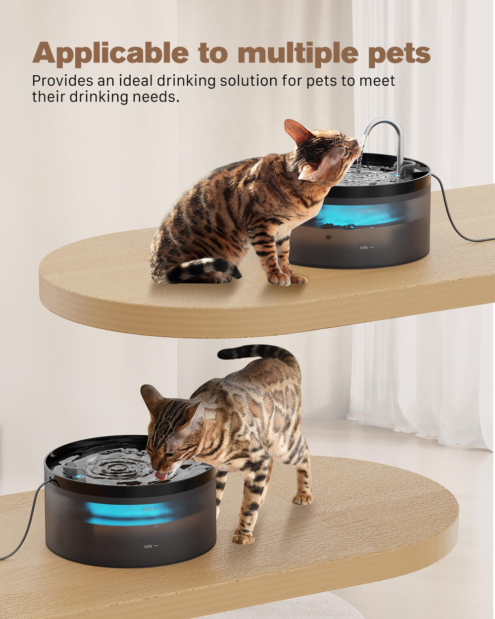 Materiales sin BPA Bemoonny, seguridad para mascotas.