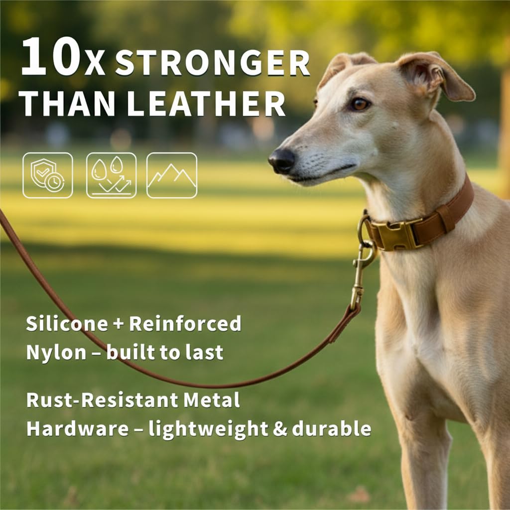Ben & Fellows correa silicona para perro pequeño, ligero y resistente para paseos diarios