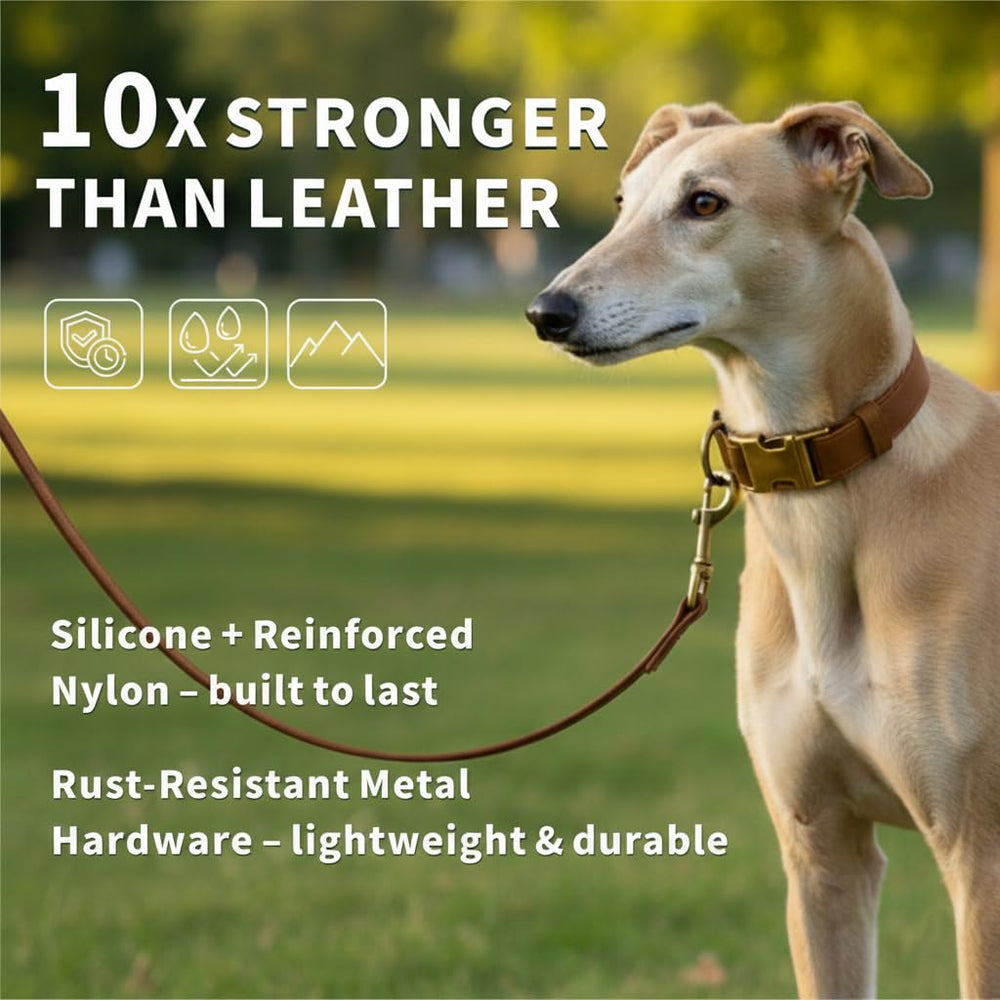 Ben & Fellows correa silicona para perro pequeño, ligero y resistente para paseos diarios