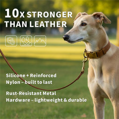 Ben & Fellows correa silicona para perro pequeño, ligero y resistente para paseos diarios