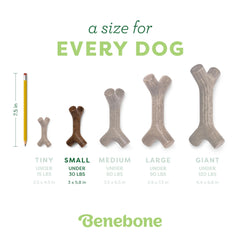 Benebone Bacon Stick Pequeno, hecho en Estados Unidos, garantía de fabricación