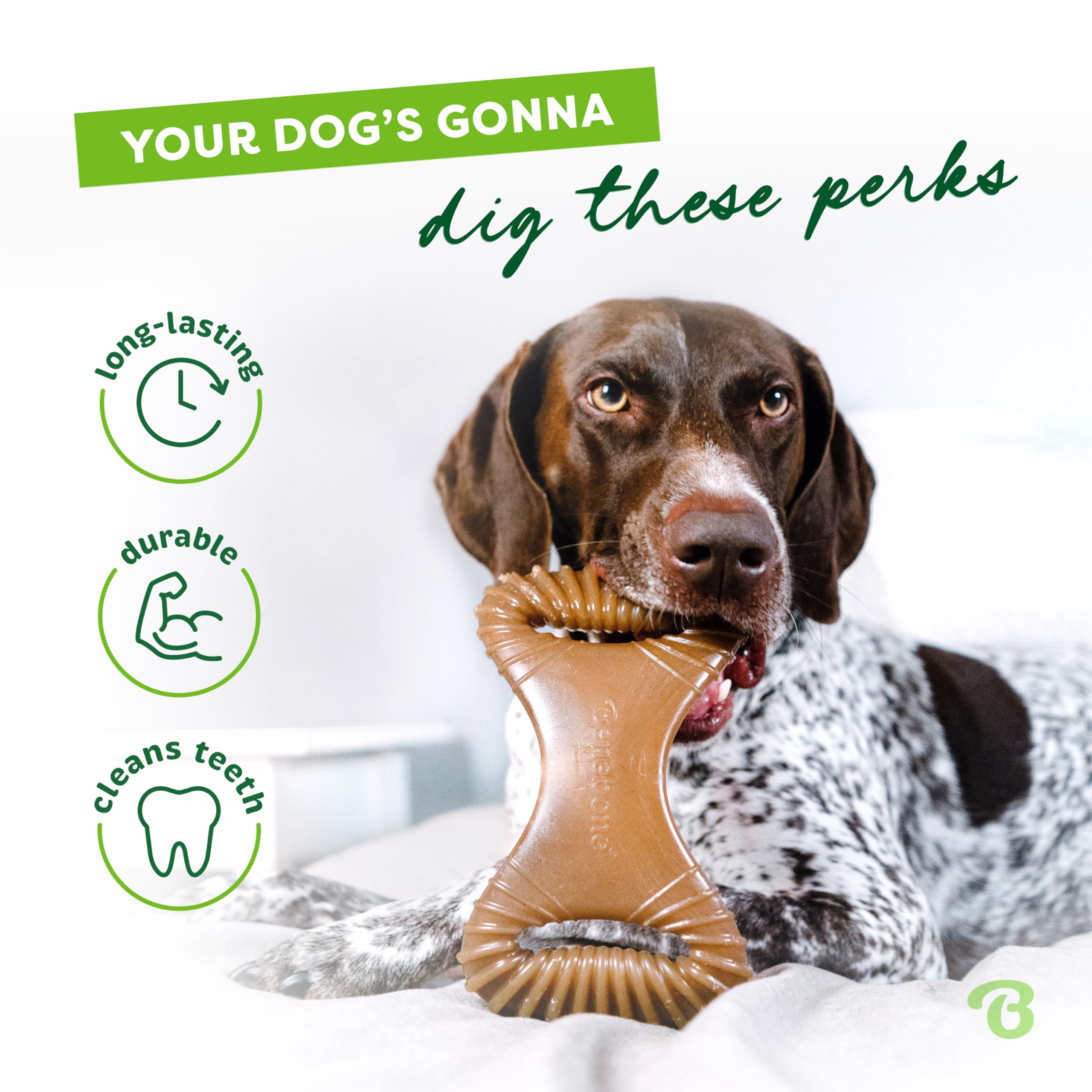Benebone durabilidad prolongada: masticación resistente para perros agresivos