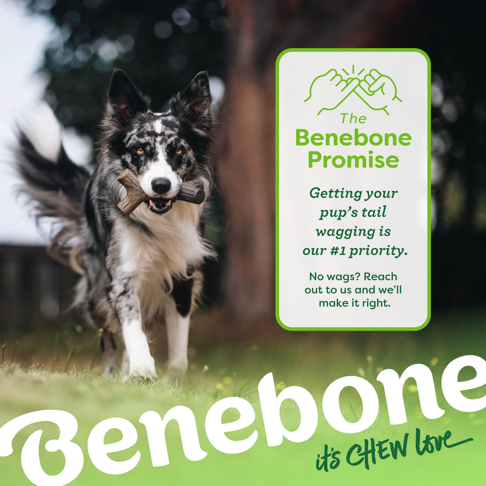 Producto Benebone hecho en EEUU, calidad y seguridad para perros pequeños.