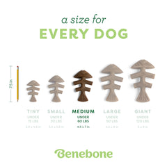 Benebone Hueso-Pescado, larga vida útil para entretener a tu perro.
