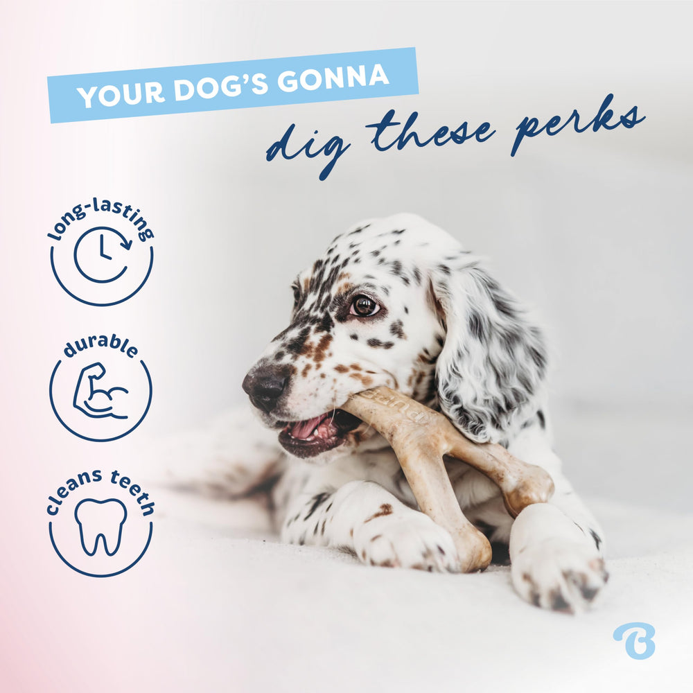 Benebone Puppy, diseño suave cuida dientes en crecimiento.