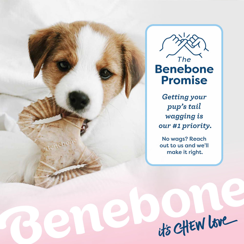 Benebone Puppy, perfecto para ritual diario de masticación y juego.