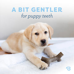 Benebone Puppy Maplestick Zaggler, sabor tocino real para cachorros