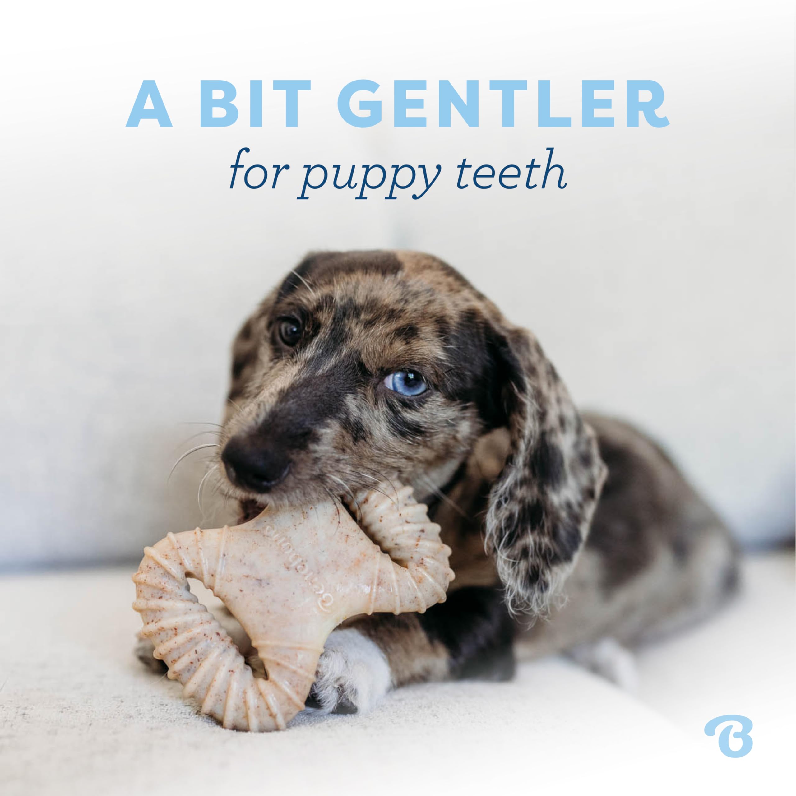 Benebone Puppy, sabor bacon real estimula masticación natural.