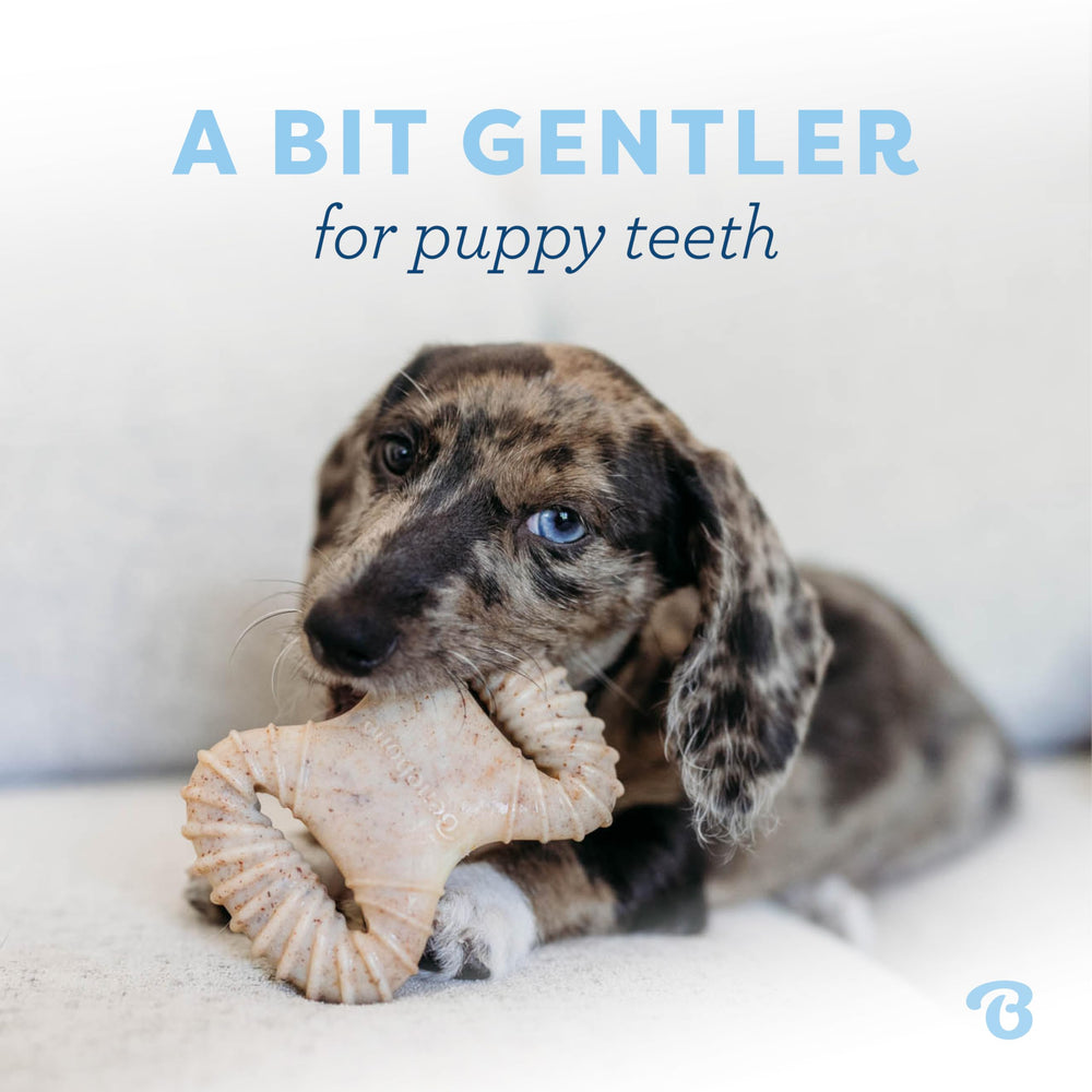Benebone Puppy, sabor bacon real estimula masticación natural.