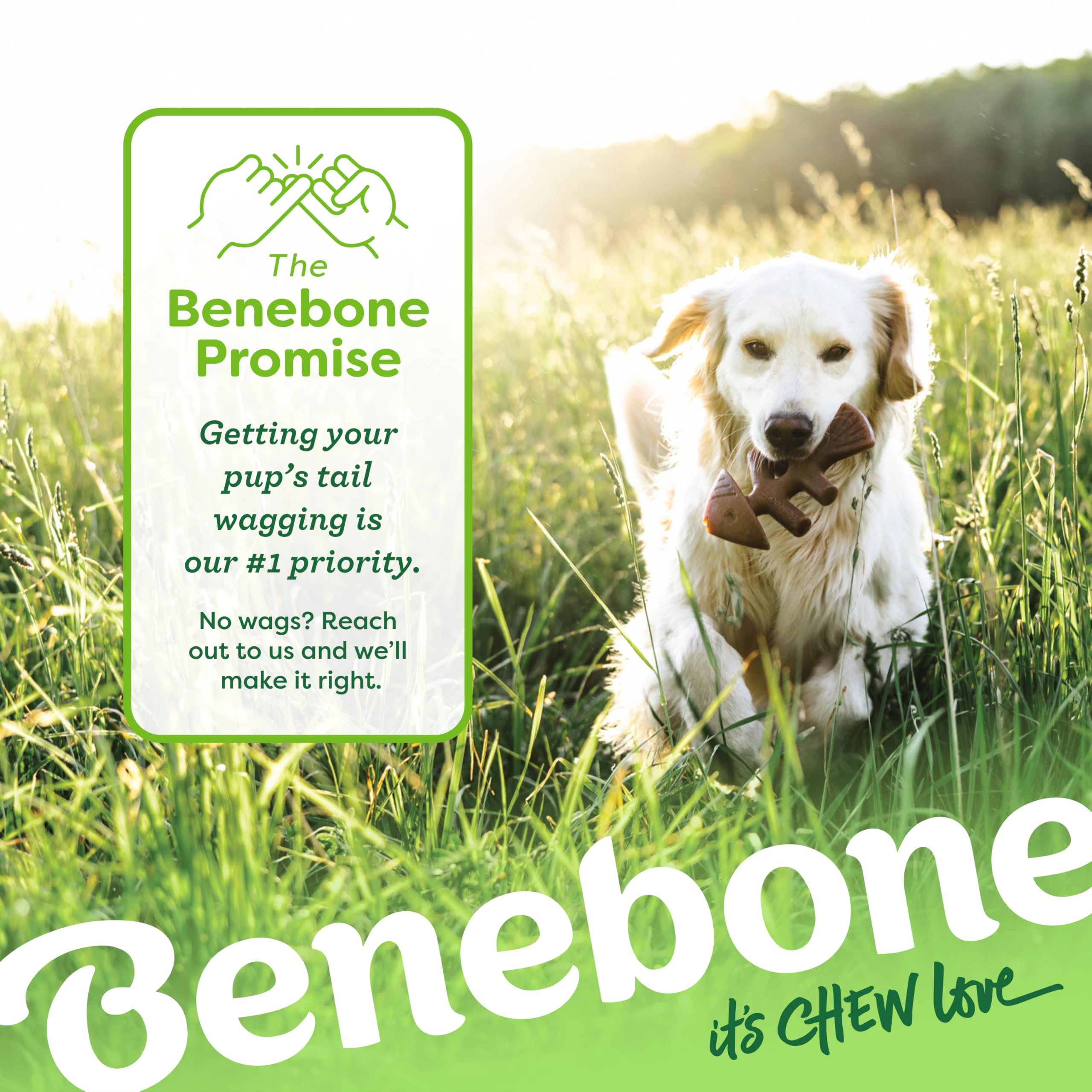 Benebone Hueso-Pescado, tamaño mediano ideal para perros de mordida fuerte.