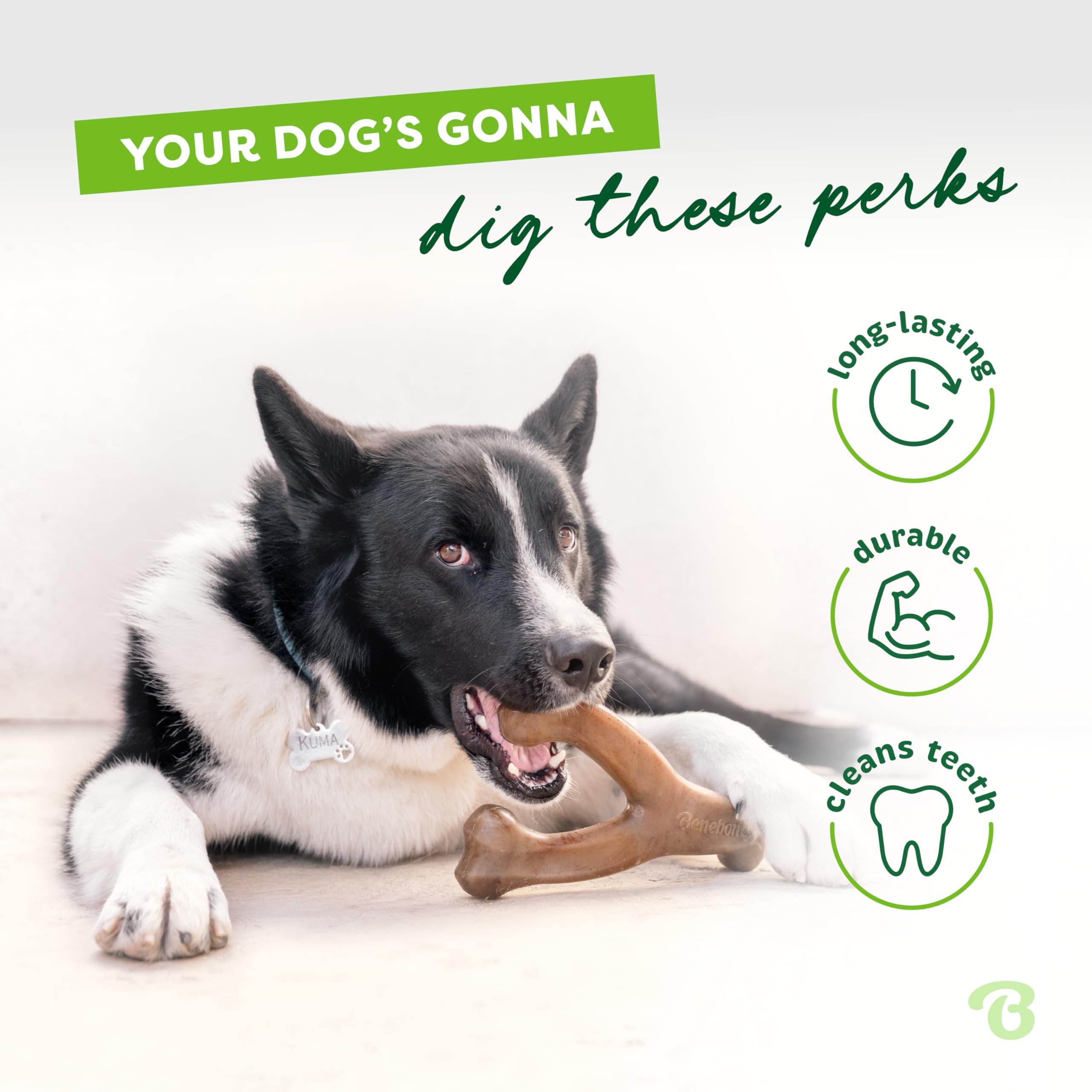 Benebone Wishbone, diseño curvo para agarre cómodo con las patas.