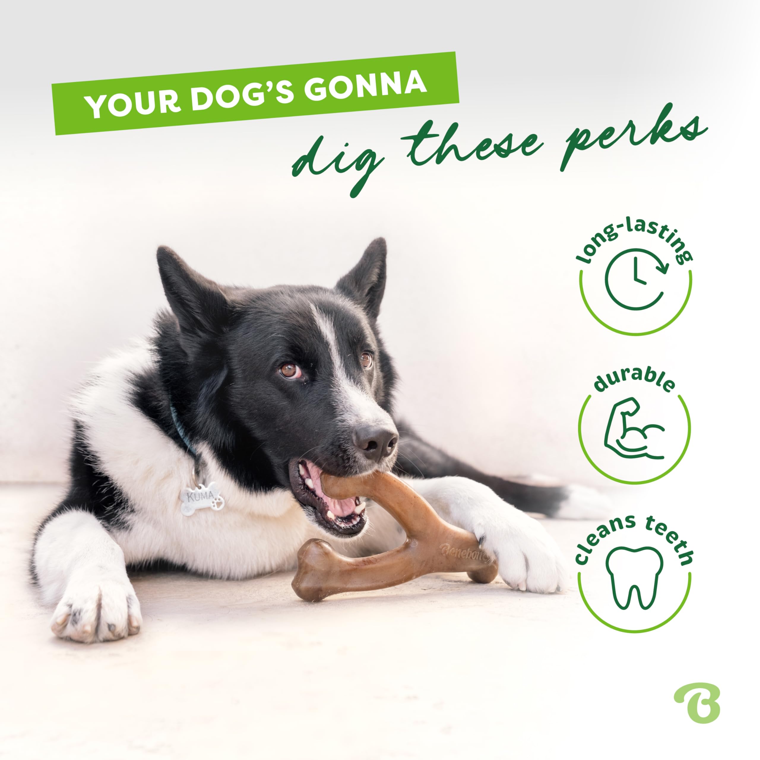 Benebone Wishbone diseño curvo facilita agarre para perros