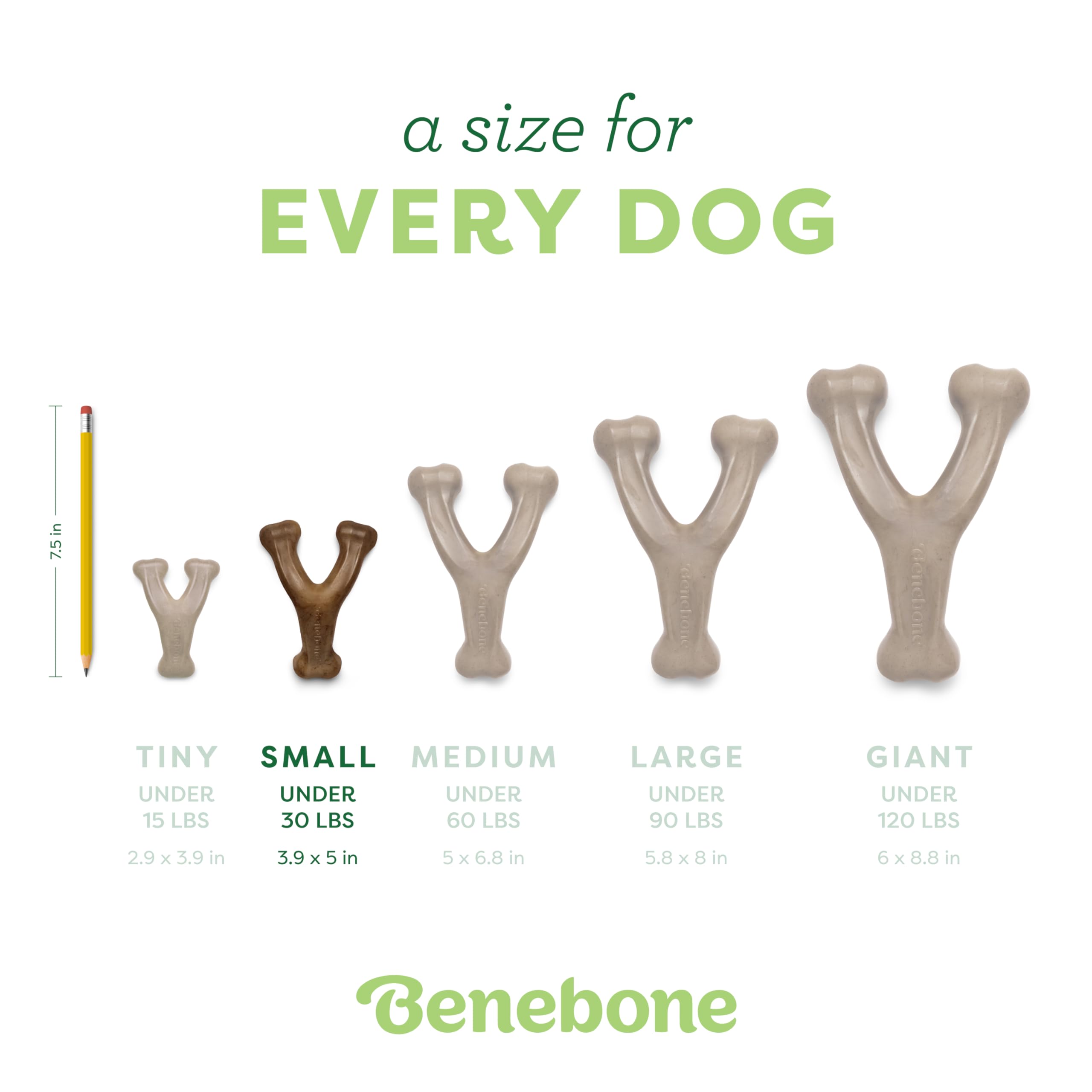 Benebone Wishbone diseño seguro para masticación responsable.