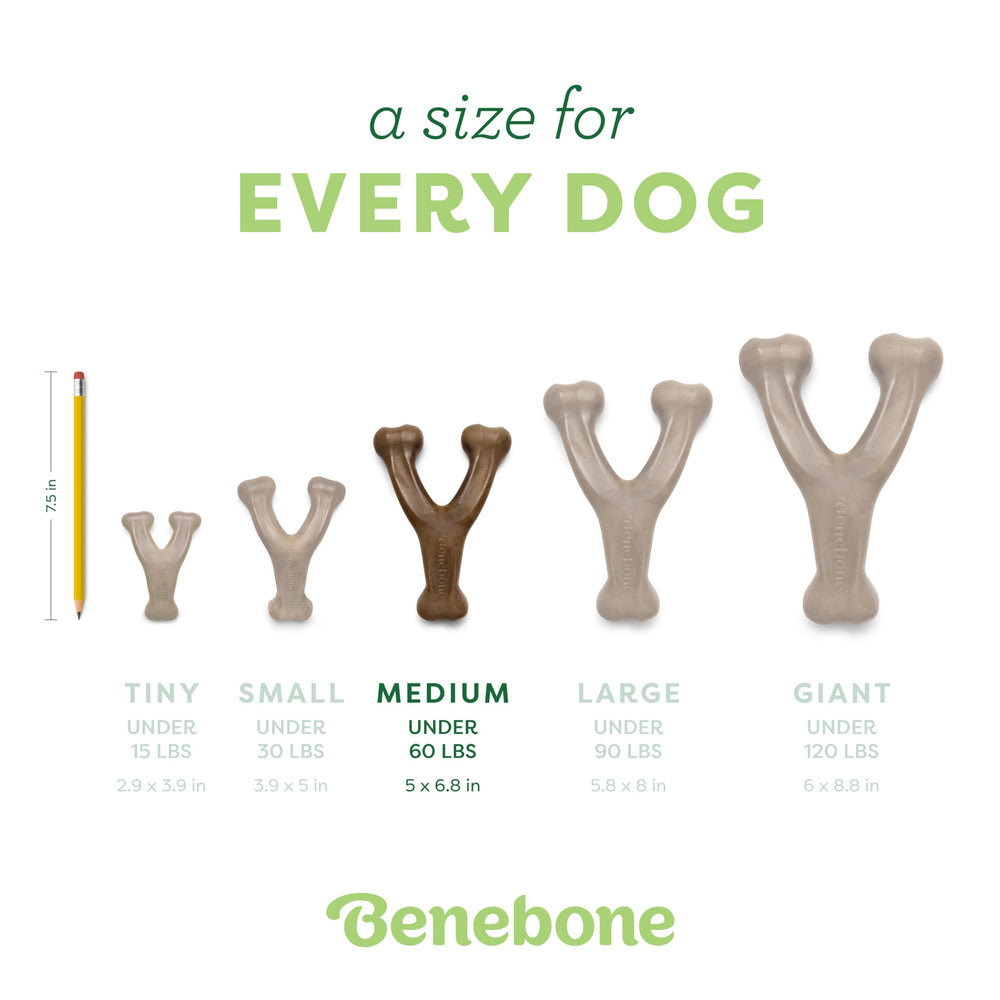Benebone Wishbone hecho en Estados Unidos con maní real