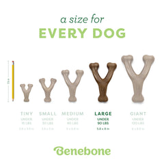 Benebone Wishbone: hecho en Estados Unidos, nylon resistente para durabilidad.