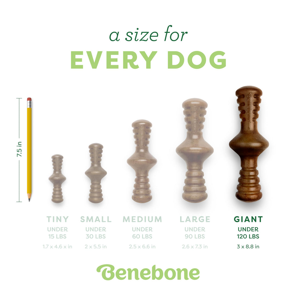 Benebone Zaggler, hecho en EE. UU., calidad robusta.