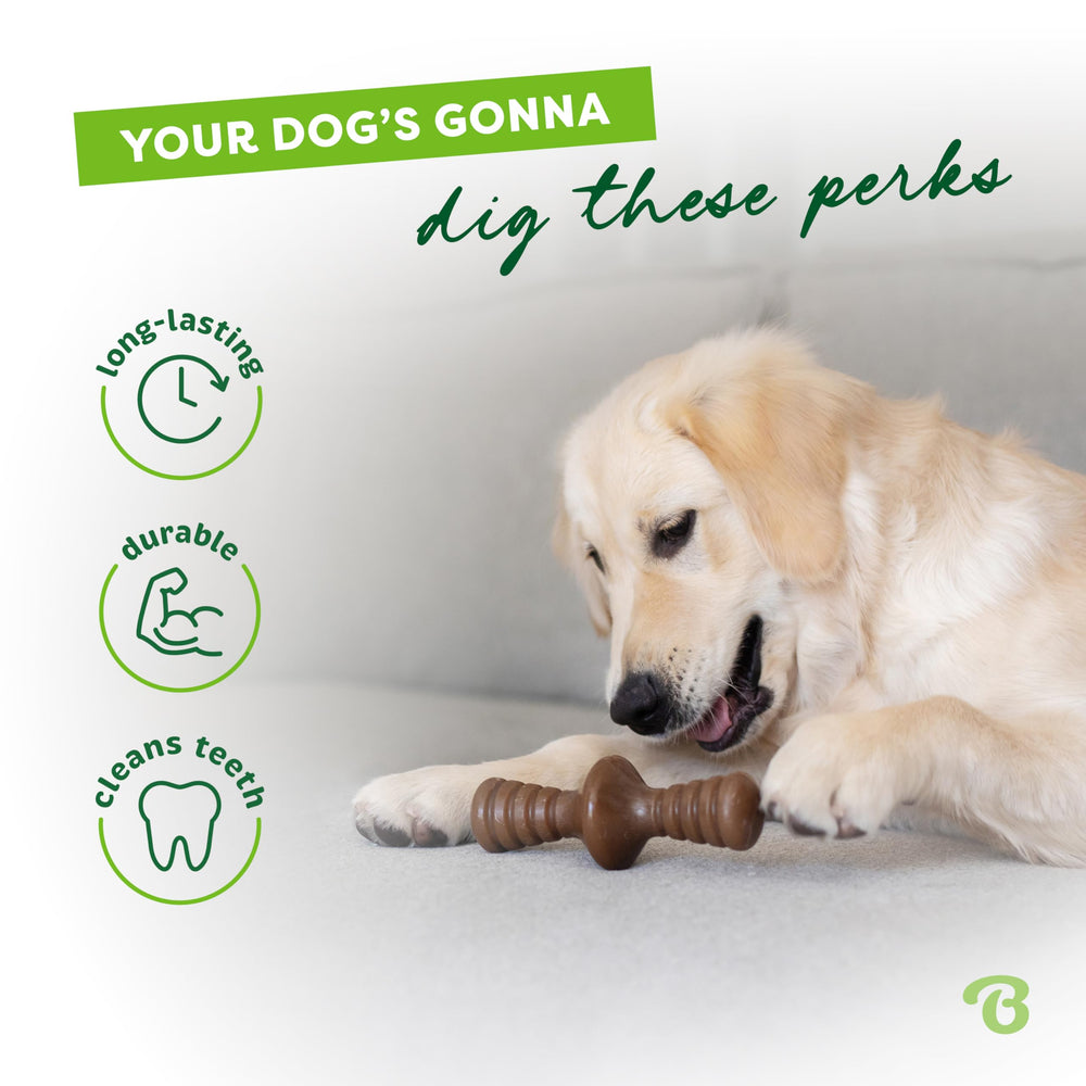 Benebone Zaggler, sabor a tocino real para perros.