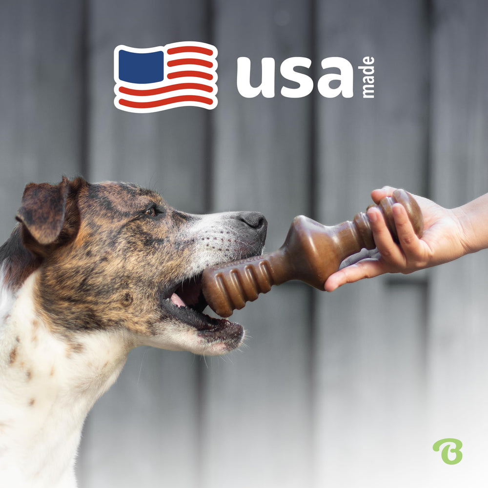 Benebone Zaggler, tamaño grande, perfecto para masticar.