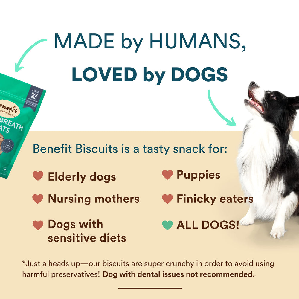 Benefit Biscuits menta servido en plato, idea de snack cotidiano.