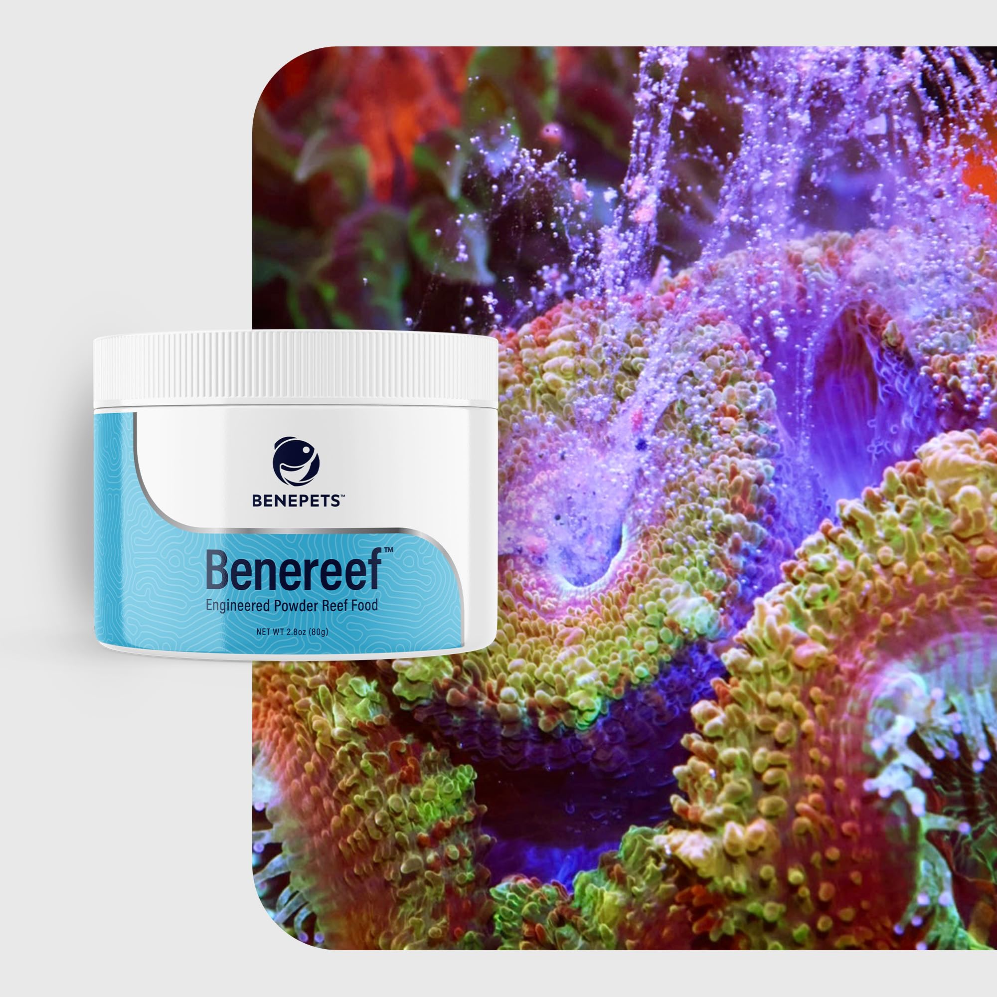 Benepets Benereef cultivo-probiotico microorganismos beneficiosos para la microflora