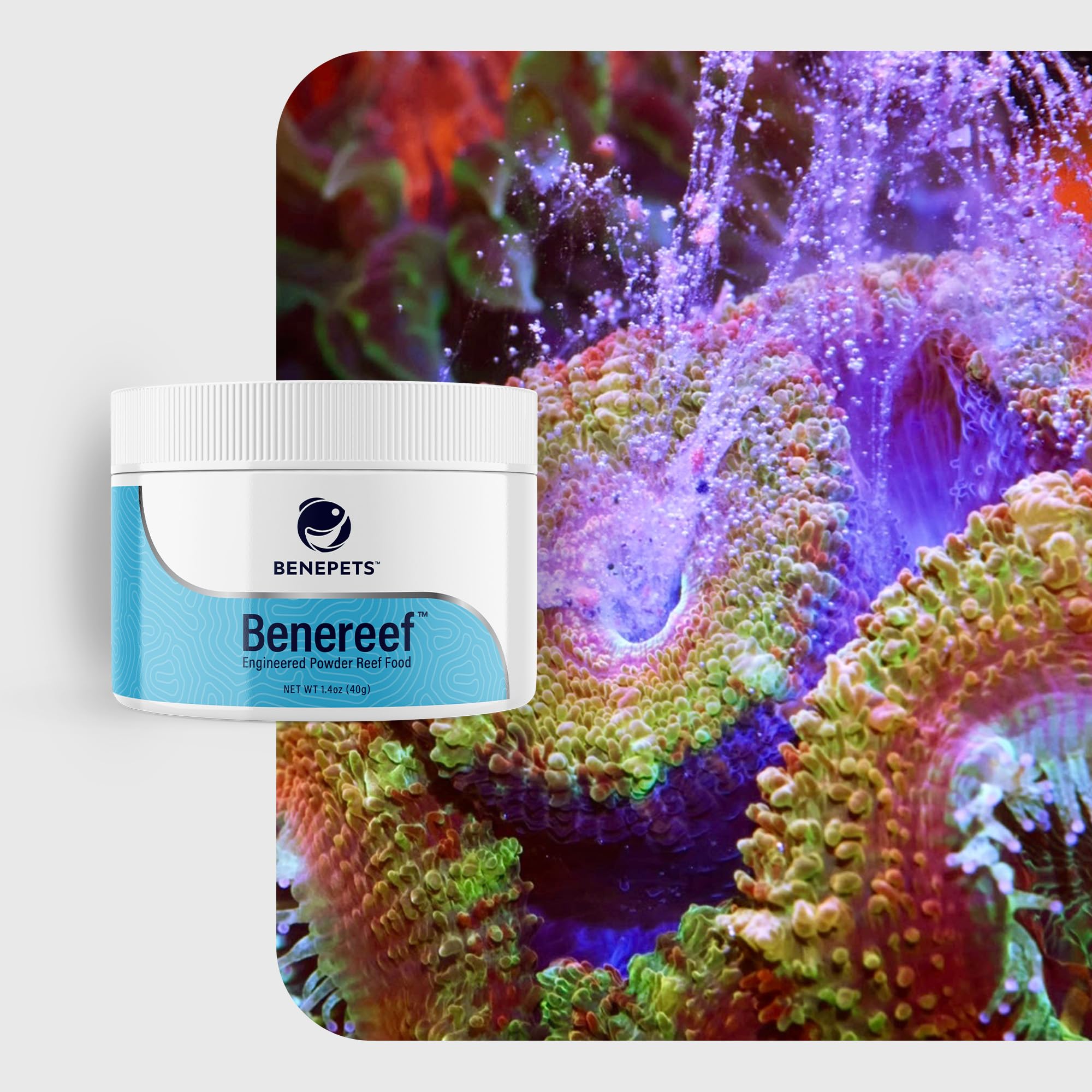 Benepets BeneReef Powder, mejora la absorción de nutrientes en corales y peces.