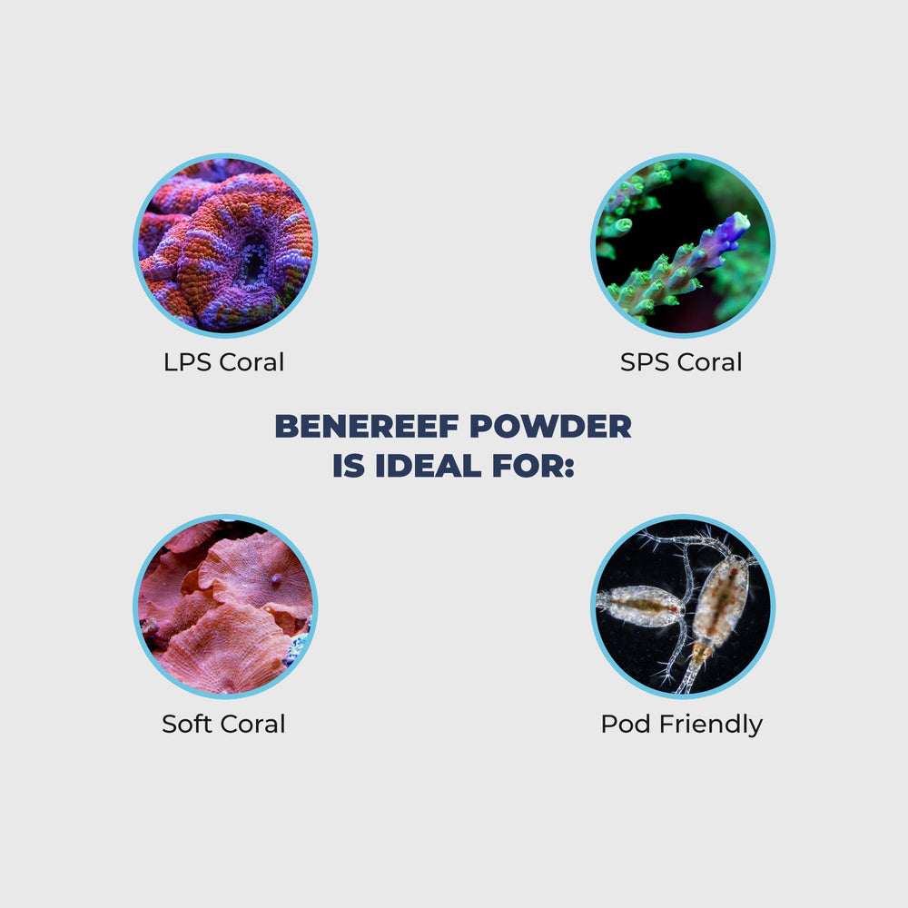 Benepets BeneReef Powder, favorece crecimiento y color de corales en el acuario.