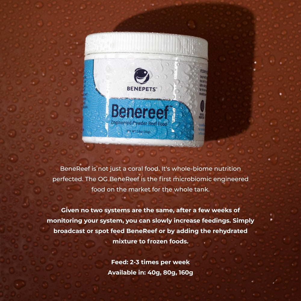 Benepets BeneReef Powder, regeneración de corales mediante nutrición adecuada.