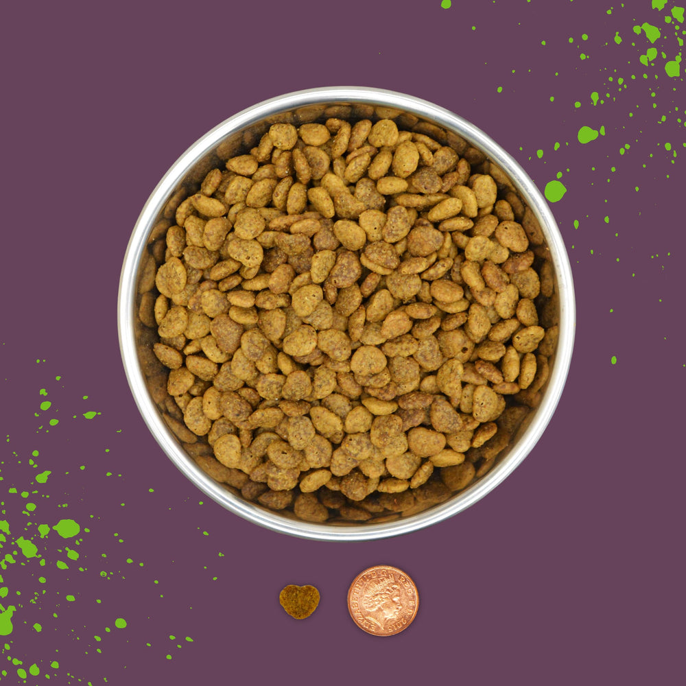 Benevo Cat: etiqueta vegana aprobada, confianza para una dieta vegetariana para gatos.