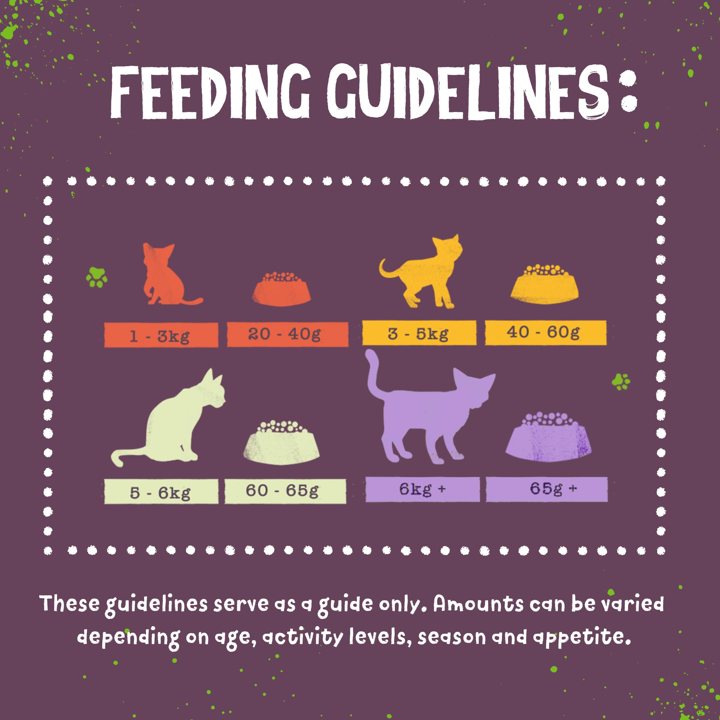 Benevo Cat: kibble con prebiótico FOS para digestión suave.