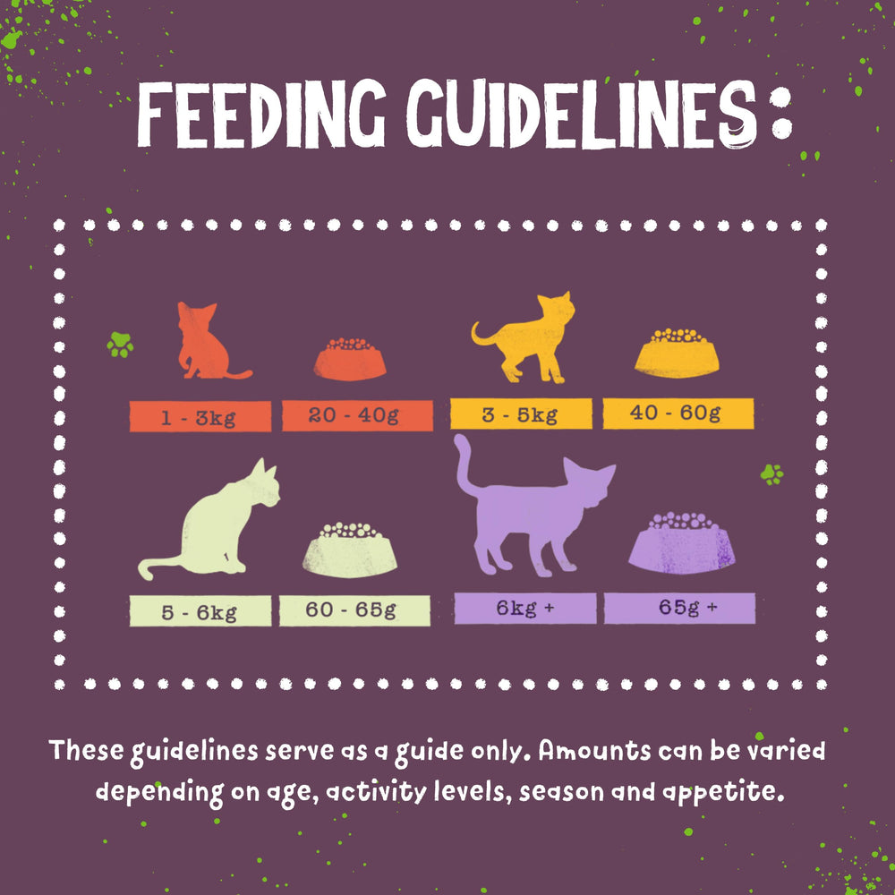Benevo Cat: kibble con prebiótico FOS para digestión suave.