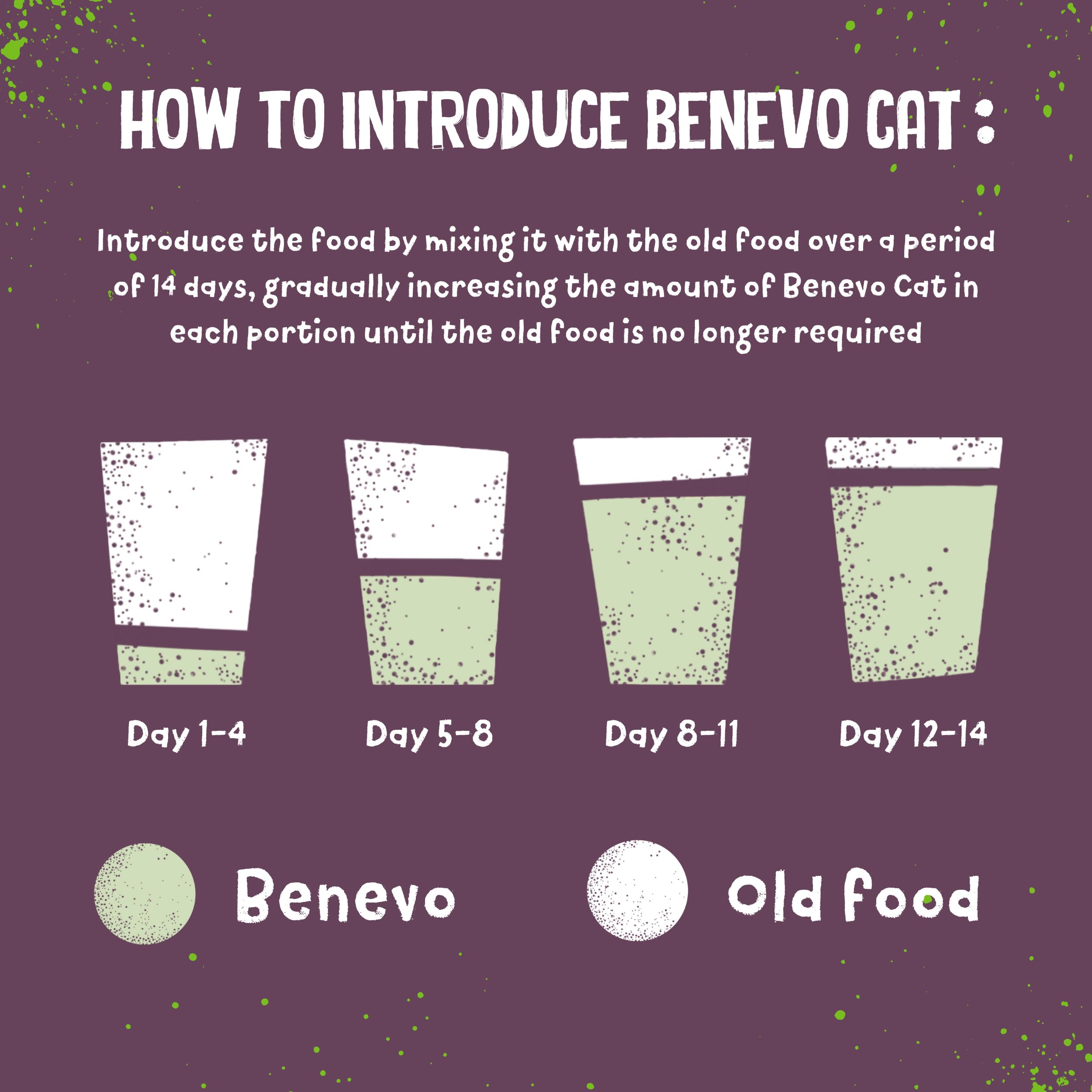 Benevo Cat: primer plano de kibble, fuente de omega para piel y pelaje.