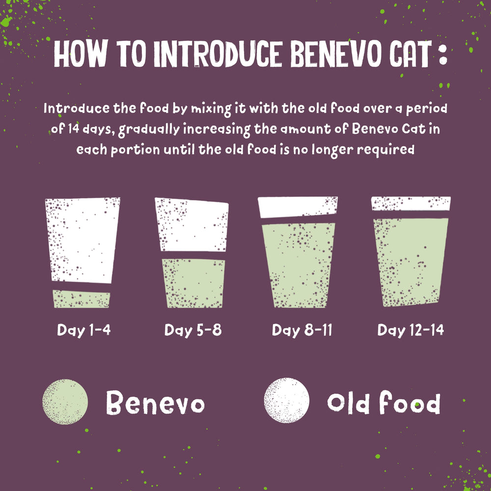 Benevo Cat: primer plano de kibble, fuente de omega para piel y pelaje.