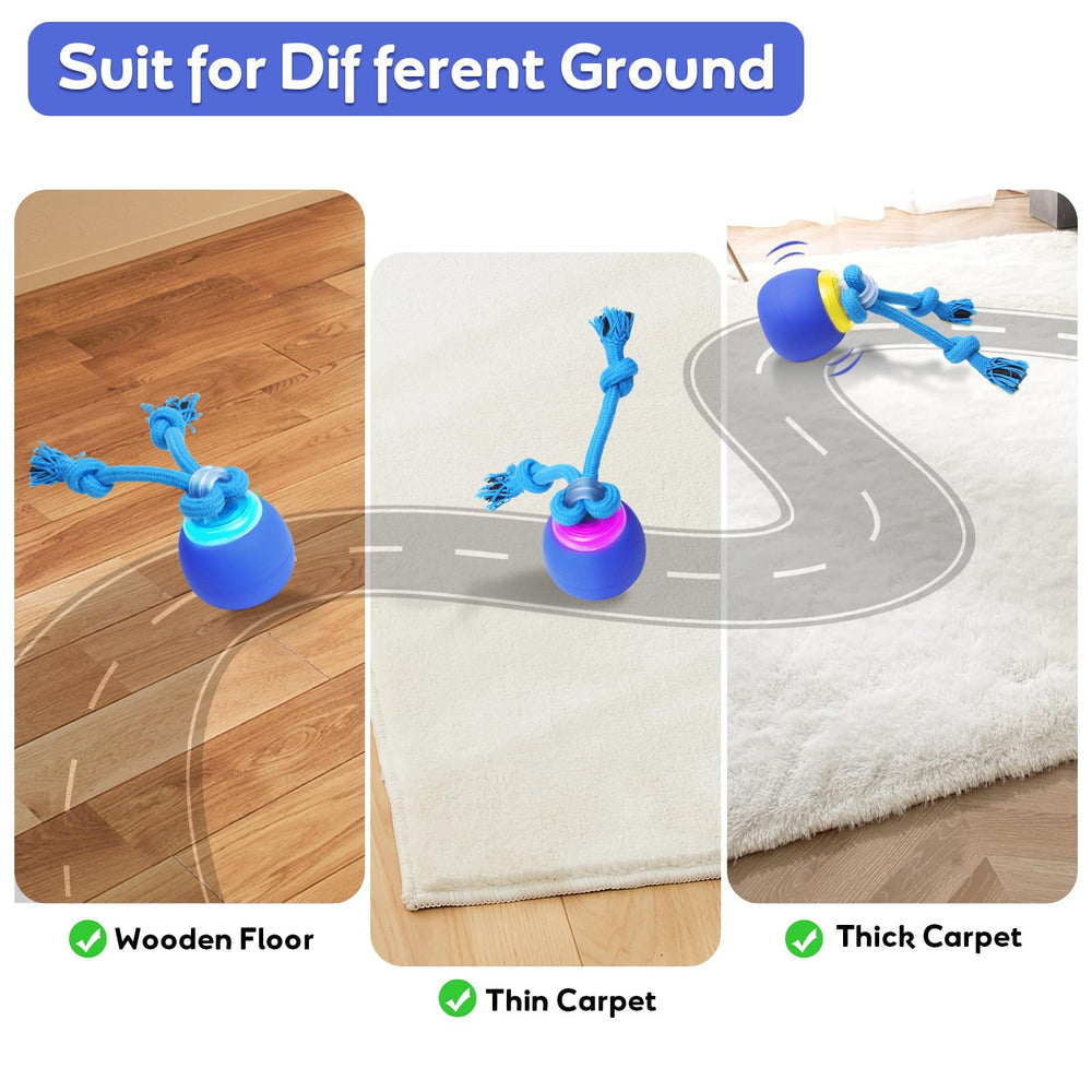 BENTOPAL ideal para entrenamiento y bonding entre tú y tu perro.