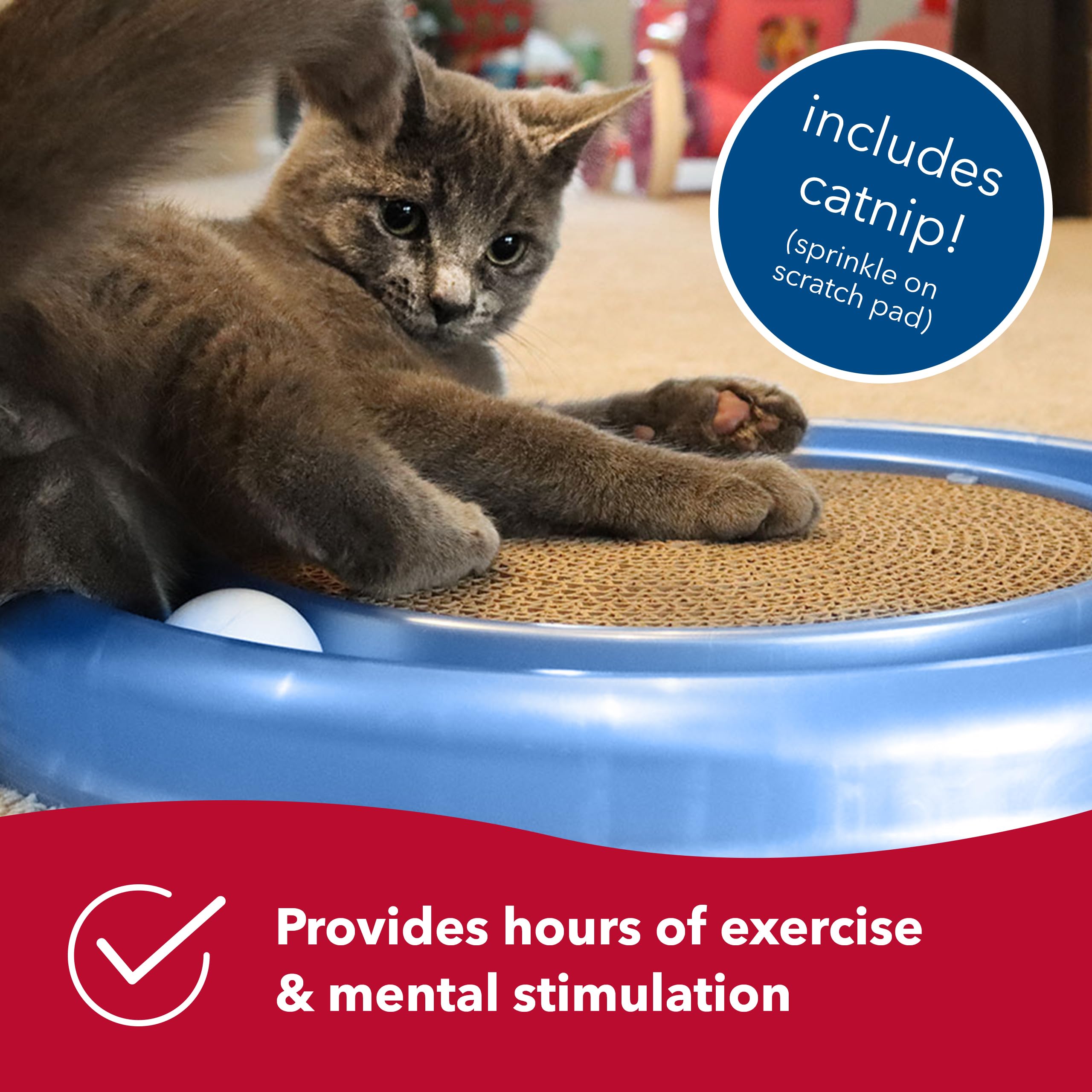 Bergan Turbo Scratcher con catnip incorporado para más energía.