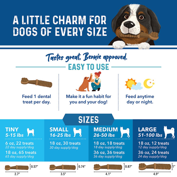 Bernie's Charming Chompers, tamaño pequeño perfecto para perros de menor tamaño.