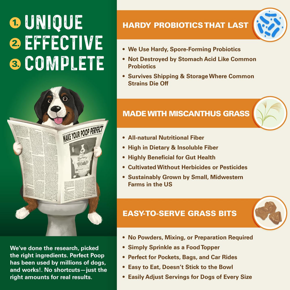 Bernie's Perfect Poop: enzimas digestivas para descomponer alimentos y mejorar la absorción