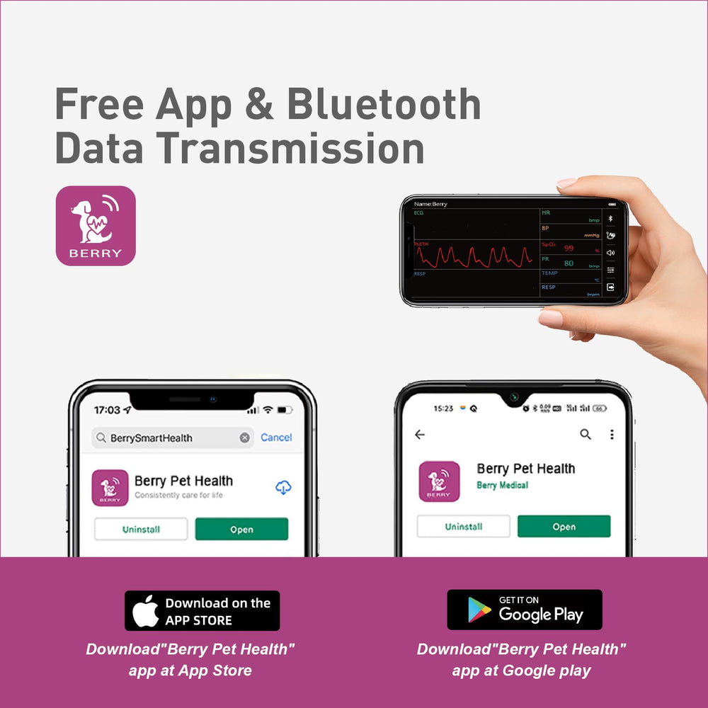 Berry AM1000A-Vet conexión con la aplicación para almacenamiento de datos