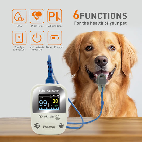 Berry AM1000A-Vet lectura de pulso para control rápido de mascotas