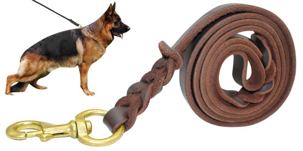 Beirui de Berry Pet: cierre de cobre resistente para paseos diarios